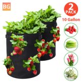 Tvird 10-Gallon Strawberry Planting Bags (2 Pack)