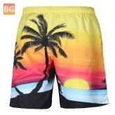 Beach Shorts - 3D Coconut Tree - Sunset Printing - Waterproof - Elasticity