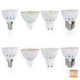 Warm White LED Spot Light Bulbs - 350LM