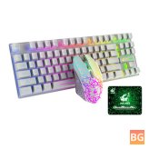 ZIYOULANG T87 Wireless Mouse - Combo 87 Keys 2.4GHz Wireless Rechargeable Colorful Backlit Keyboard 2400DPI Mouse Set