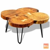 Sheesham Wood Coffee Table with Four Trunks