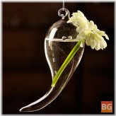 Hanging Symbol Shape Glass Vase for Hydroponic Plants