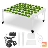 Garden Vegetable Planting System with Tools - 110-220V