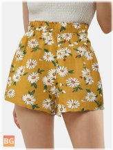 Women's Shorts with Daisy Print