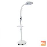 Cold/Warm Floor Lamp with LED Magnification - 16X