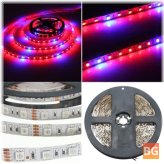 HydroGrow LED Strip - Non-waterproof, 3:1 Red/Blue Ratio, 12V DC