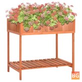 Garden Bed - Herb Planter 80x60x80cm