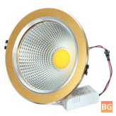 Golden Shell COB LED Ceiling Light