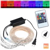 RGB Strip Light with Remote Control and Cable