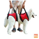 Pet Auxiliary Belt Dog Harness Carriers for Carriers Assistance