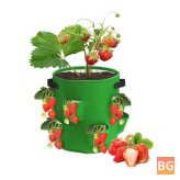 10 Gallon Grow Bag for strawberries - Non-woven fabric
