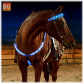 Horse Gear & Equipment - LED Horse Chest Belt