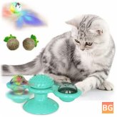 Cat Toy Hairbrush with Interactive Game - Massage Tickle Toy