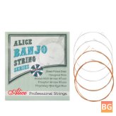 Alice's Nickel Alloy Wound Banjo Strings - Set of 5 (009-030) AJ07