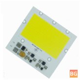 DIY LED Floodlight Chip - 50W/100W
