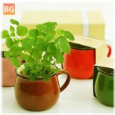 Coffee Cup Potted Plant for Home Office