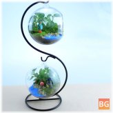 Terrarium Home Room Decor Gift - Creative Flower Pot Glass Ball Vase