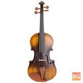 AV-E310 Violin with Case - Matte