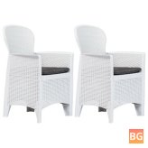 2 Pcs Garden Chairs with Cushion for Home