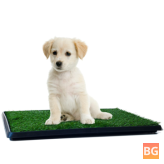 76*51cm Pet Artificial Grass Mat for Dog Area Landscape Lawn Toilet Synthetic turf cat puppy