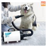 2200W Pet Blowing Machine for Dog and Cat Hair Drying