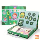 Magnetic Life Cycle Educational Puzzles