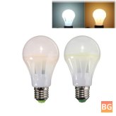 Globe Light Bulb - Warm White/White