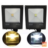 LED Flood Light - 50W