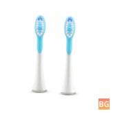 Replaceable Brush Toothbrush Heads - S Series Electric Toothbrush