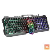 LIMEIDE T21 Keyboard and Mouse Set - USB Wired 104 Keys - Metal Panel - Rainbow Backlight - Mechanical Feel - Gaming Keyboard & Mouse Combo for PC Computer Laptop