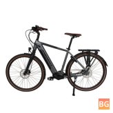 Electric Bike with Mid Motor and 36V Battery