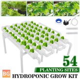 Garfans 110-220V 36/54 Hydroponic Planting System - Garden Vegetable Planting System