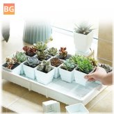 PP Plant Tray - Succulent Drain Balcony Growing Holder - Nursery Garden Decorations