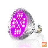 LED Grow Lamp with 1000 Lumens and 15W LED