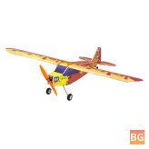 FireBird RC Airplane Kit