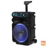 12" Bluetooth Outdoor Speaker with HD Mic