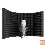 5-Piece Mic Shield for Recording