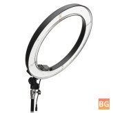 5500K LED Ring Video Light with Diffuser Light Stand - 14 Inch