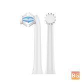 2-Pack of Electric Toothbrush Heads - Adult/Child