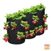 Heavy-Duty Strawberry Planter Bags with Flap and Handles - 3 Pack