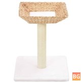 Sisal Scratch Post for Cat