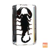 Black Longhorn Beetle Spider Craft Toy - Clear Acrylic
