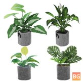 Breathable Smart Pots for Planting