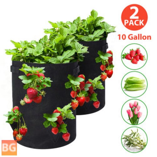 Tvird 10-Gallon Strawberry Planting Bags (2 Pack)