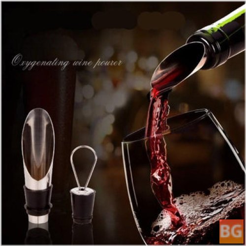 Stainless Wine Pourer and Stopper Set