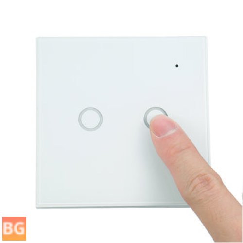 2-Gang Smart WiFi Light Switch with EU Remote Control