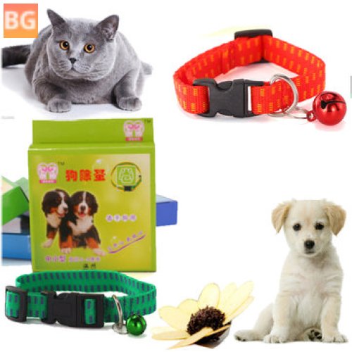 Anti Flea & Collar for Dog and Cat