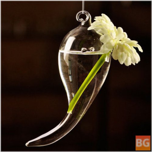 Hanging Symbol Shape Glass Vase for Hydroponic Plants