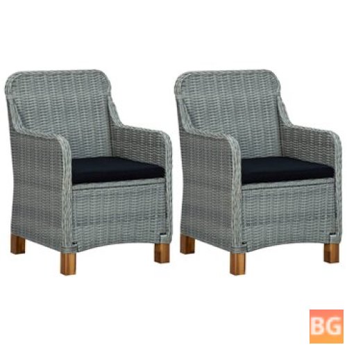 2-Piece Set of Garden Chairs with Cushions