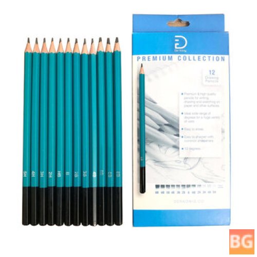 Professional Sketching Pencil Set - 12pcs